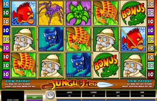 jeu Jungle Jim
